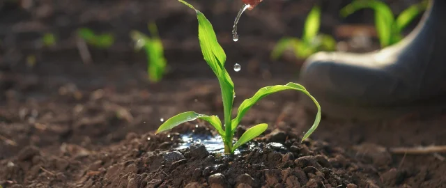 Impianti Trattamento Acque per l'Agroalimentare