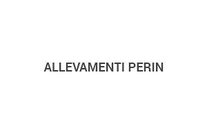 Allevamenti Perin