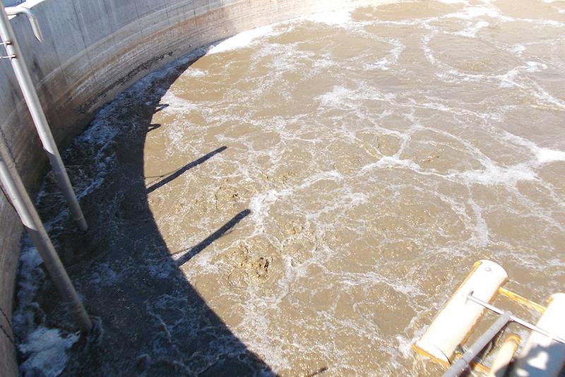 Casearia Castelli spa