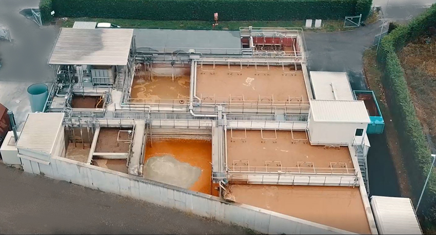 Canned food, fruit and vegetables