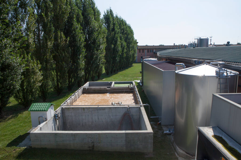 Сыромолочное производство