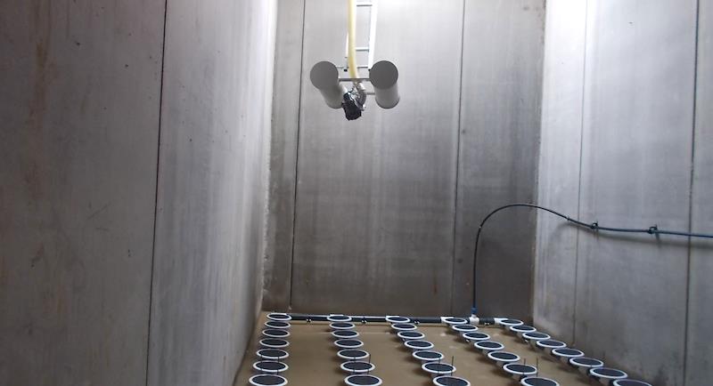 Salumificio F.lli Coati