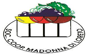 Soc. Coop. Madonna di Loreto