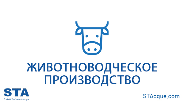 Животноводческое производство